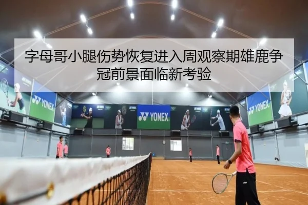 字母哥小腿伤势恢复进入周观察期雄鹿争冠前景面临新考验