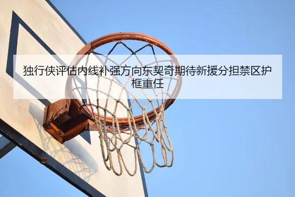 独行侠评估内线补强方向东契奇期待新援分担禁区护框重任