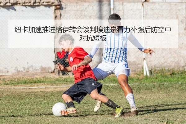 img_1783870844152_2441_1_485.jpg